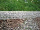 image of grave number 613464